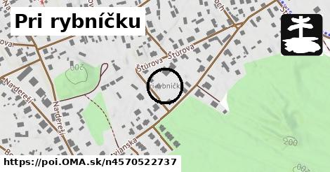 Pri rybníčku