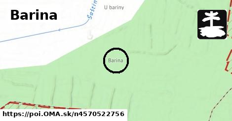 Barina