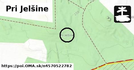 Pri Jelšine