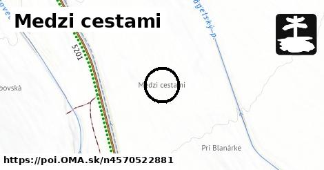 Medzi cestami