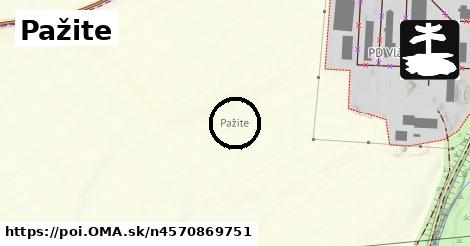 Pažite