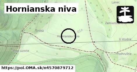 Hornianska niva