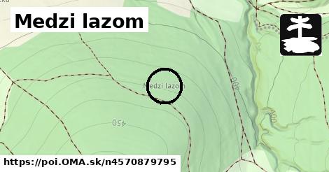 Medzi lazom