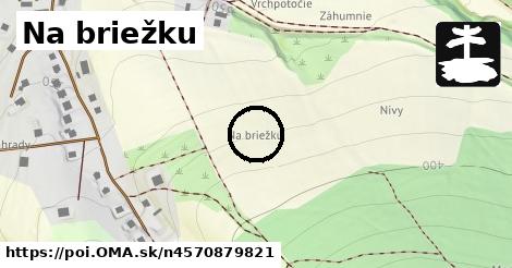 Na briežku