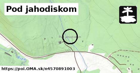 Pod jahodiskom