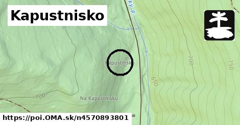 Kapustnisko