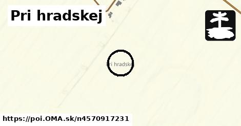 Pri hradskej