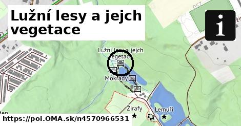 Lužní lesy a jejch vegetace