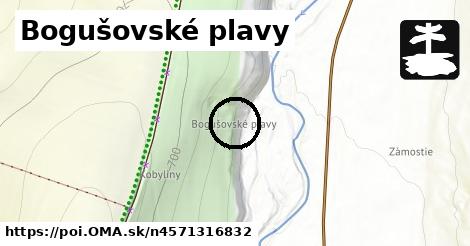 Bogušovské plavy