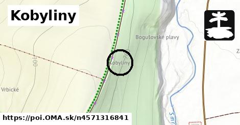 Kobyliny