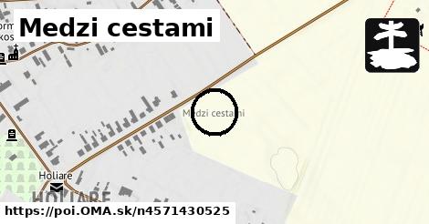 Medzi cestami