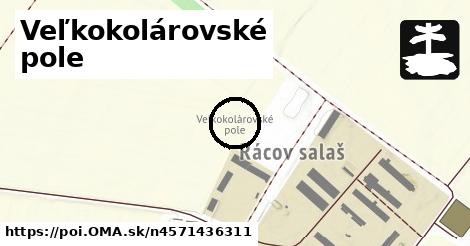 Veľkokolárovské pole