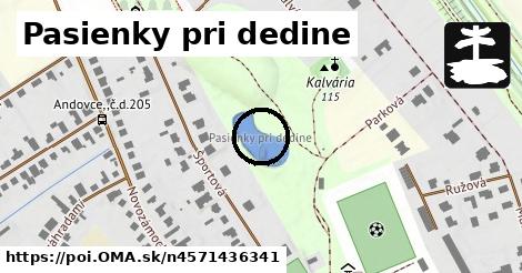 Pasienky pri dedine