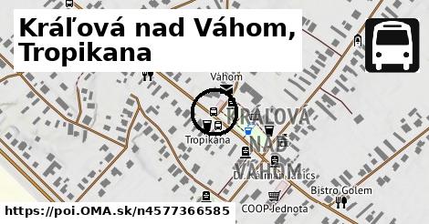 Kráľová nad Váhom, Tropikana