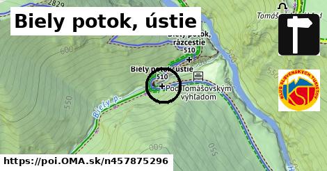 Biely potok, ústie