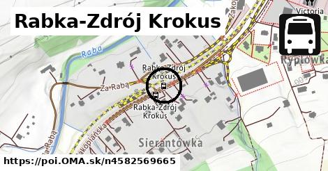 Rabka-Zdrój Krokus