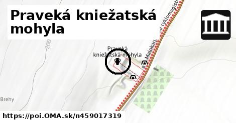 Praveká kniežatská mohyla