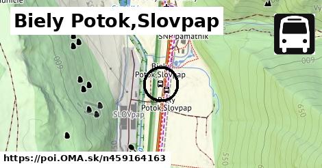 Biely Potok,Slovpap