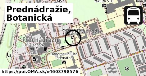 Prednádražie, Botanická