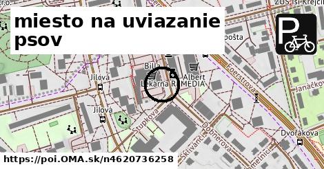 miesto na uviazanie psov