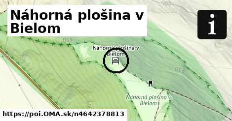 Náhorná plošina v Bielom