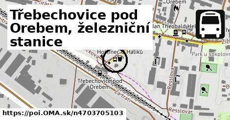 Třebechovice pod Orebem, železniční stanice