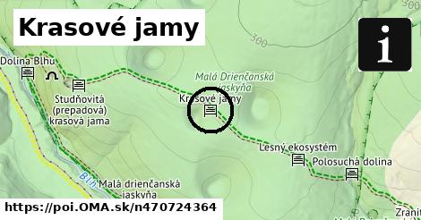 Krasové jamy