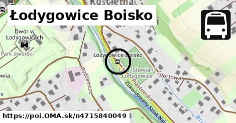 Łodygowice Boisko