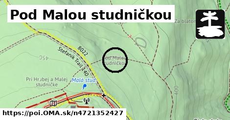 Pod Malou studničkou