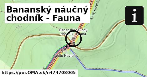 Bananský náučný chodník - Fauna