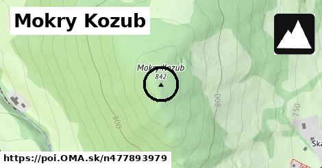 Mokry Kozub