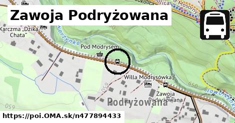 Zawoja Podryżowana