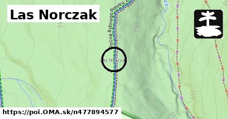 Las Norczak