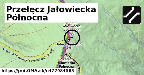 Przełęcz Jałowiecka Płn. (Tabakowe Siodło)