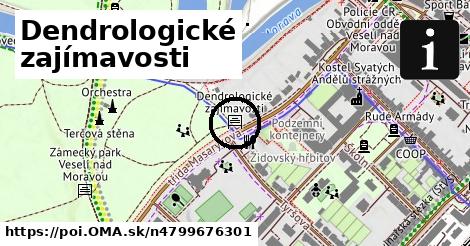 Dendrologické zajímavosti