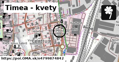 Timea - kvety