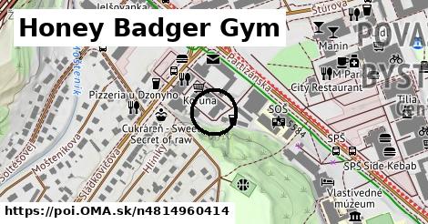 Honey Badger Gym