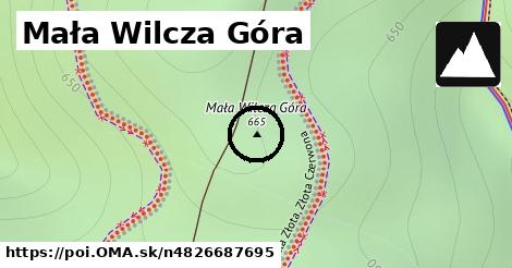 Mała Wilcza Góra