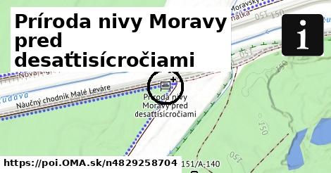 Príroda nivy Moravy pred desaťtisícročiami