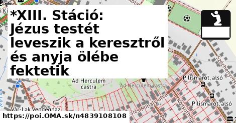 *XIII. Stáció: Jézus testét leveszik a keresztről és anyja ölébe fektetik