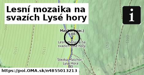 Lesní mozaika na svazích Lysé hory