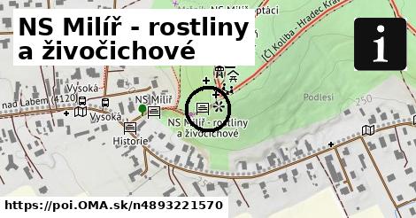 NS Milíř - rostliny a živočichové