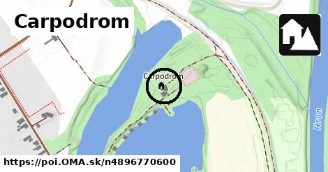 Carpodrom