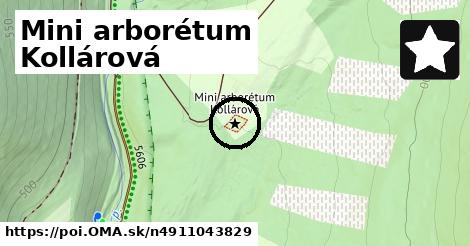 Mini arborétum Kollárová