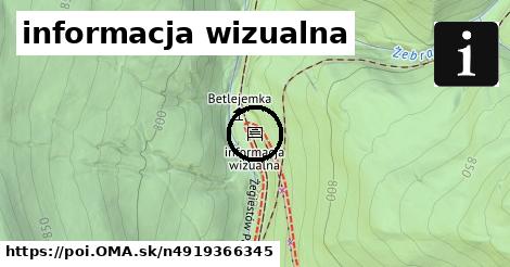 informacja wizualna