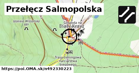 Przełęcz Salmopolska