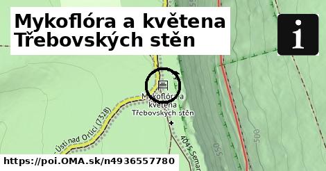 Mykoflóra a květena Třebovských stěn