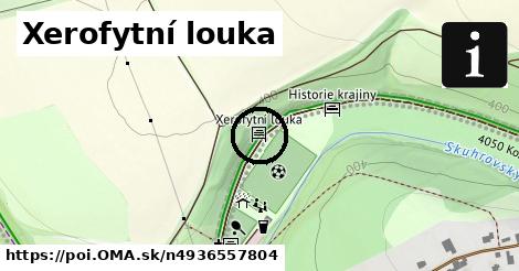 Xerofytní louka