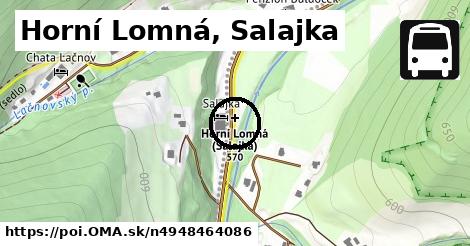 Horní Lomná, Salajka