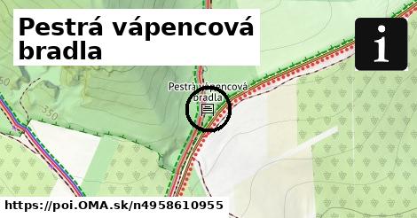 Pestrá vápencová bradla